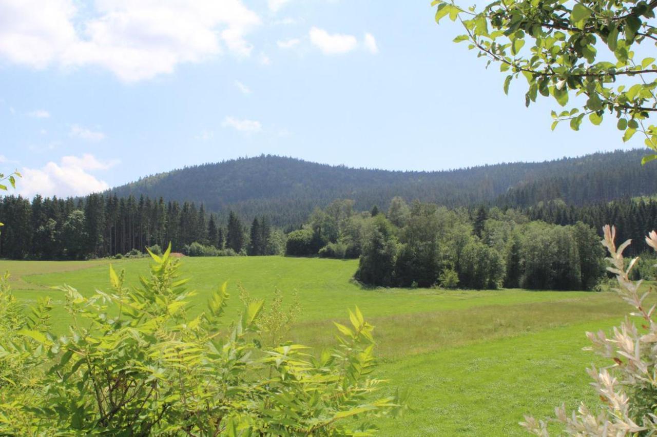 Ferienwohnungen Holzferienhaeuser Leithenwald Zwiesel Buitenkant foto
