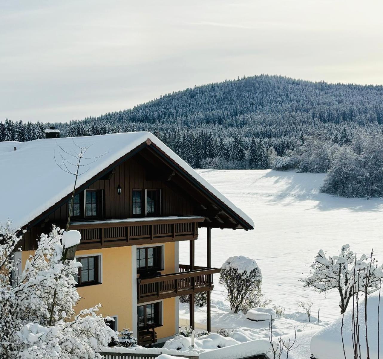 Ferienwohnungen Holzferienhaeuser Leithenwald Zwiesel Buitenkant foto