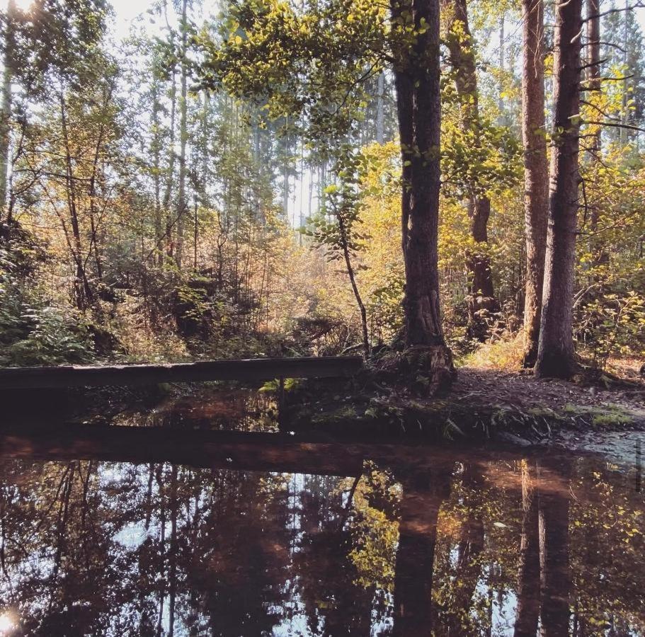 Ferienwohnungen Holzferienhaeuser Leithenwald Zwiesel Buitenkant foto