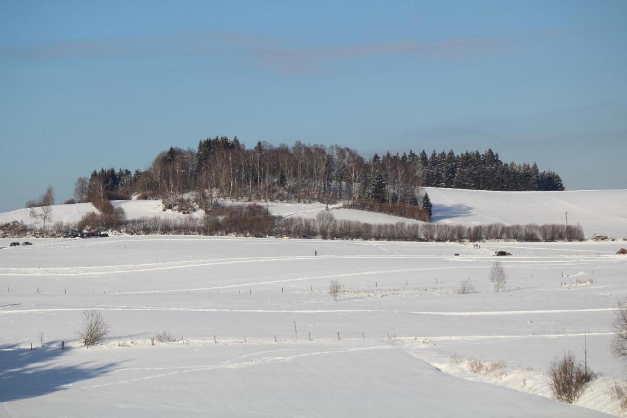 Ferienwohnungen Holzferienhaeuser Leithenwald Zwiesel Buitenkant foto