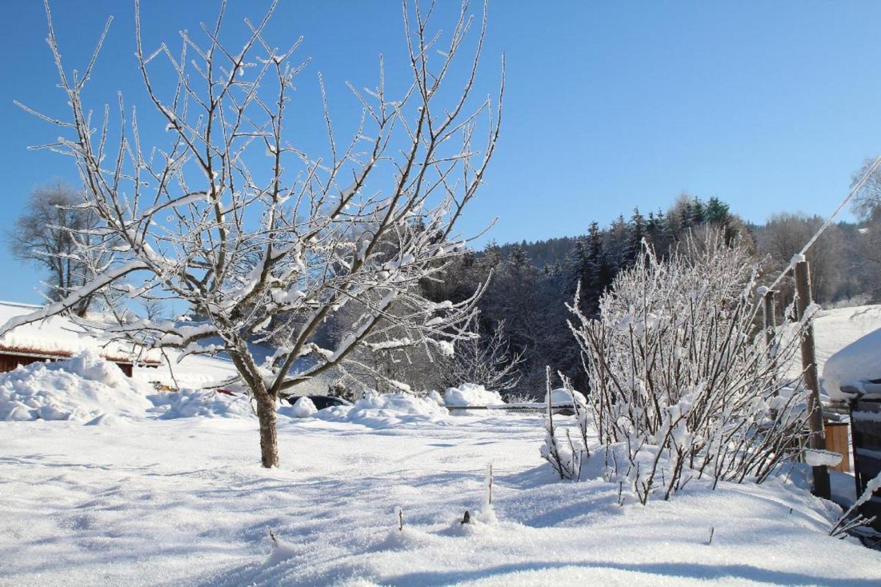 Ferienwohnungen Holzferienhaeuser Leithenwald Zwiesel Buitenkant foto